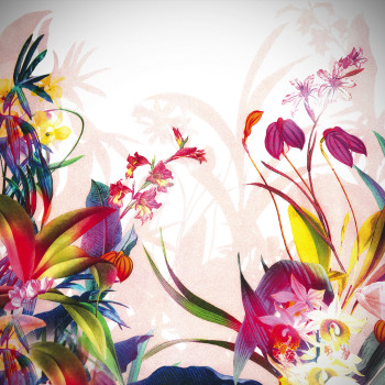 Design and Advertising agency Safehouse Studios