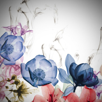 Design and Advertising agency Safehouse Studios